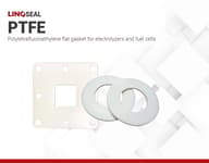 LINQSEAL PTFE