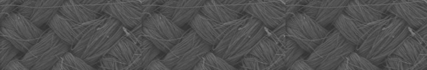 Carbon Cloth SEM